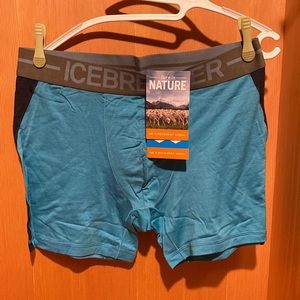 Men's Merino Anatomica Boxers, Icebreaker, Size XL